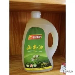 新田縣農(nóng)產(chǎn)品電商零售額突破八千萬，食用農(nóng)產(chǎn)品零售領(lǐng)跑市場